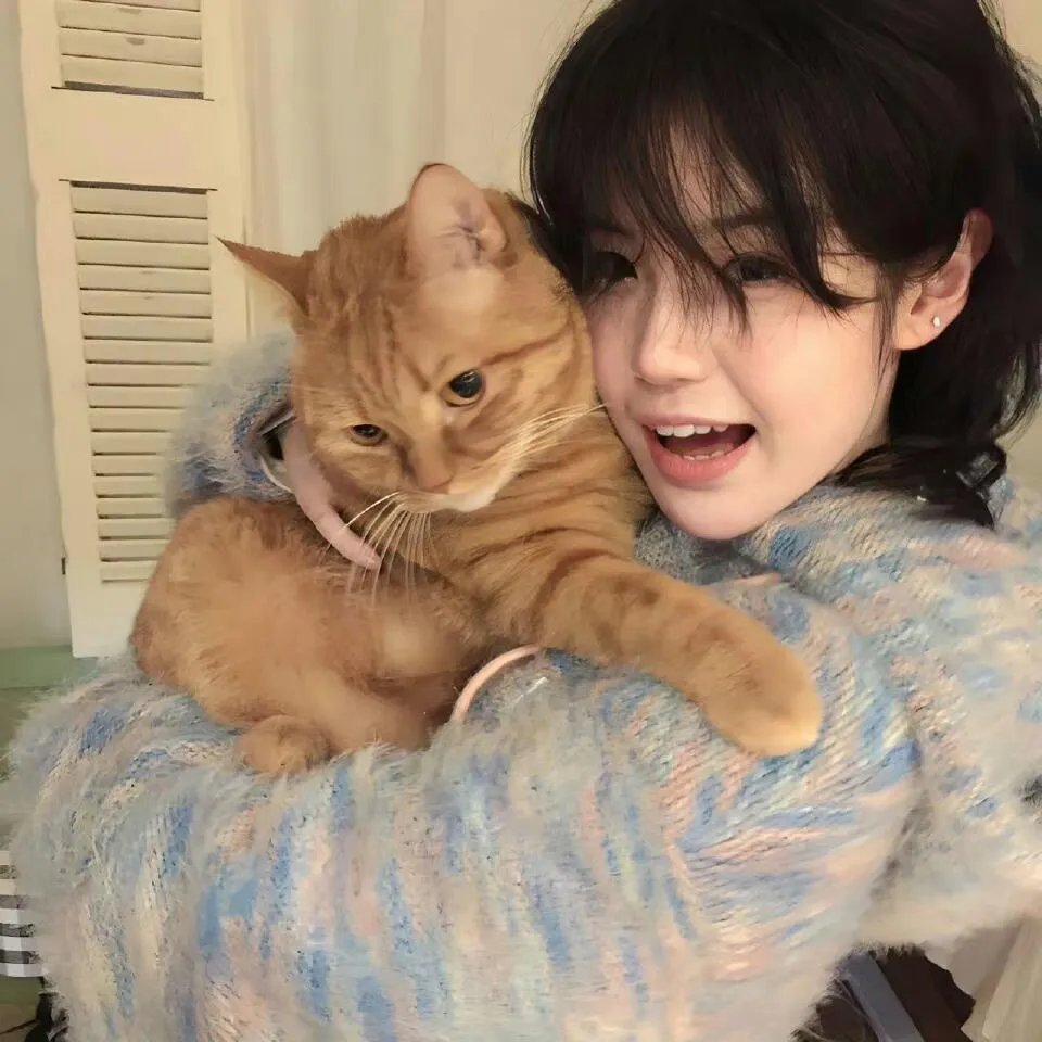 好莱坞结局
